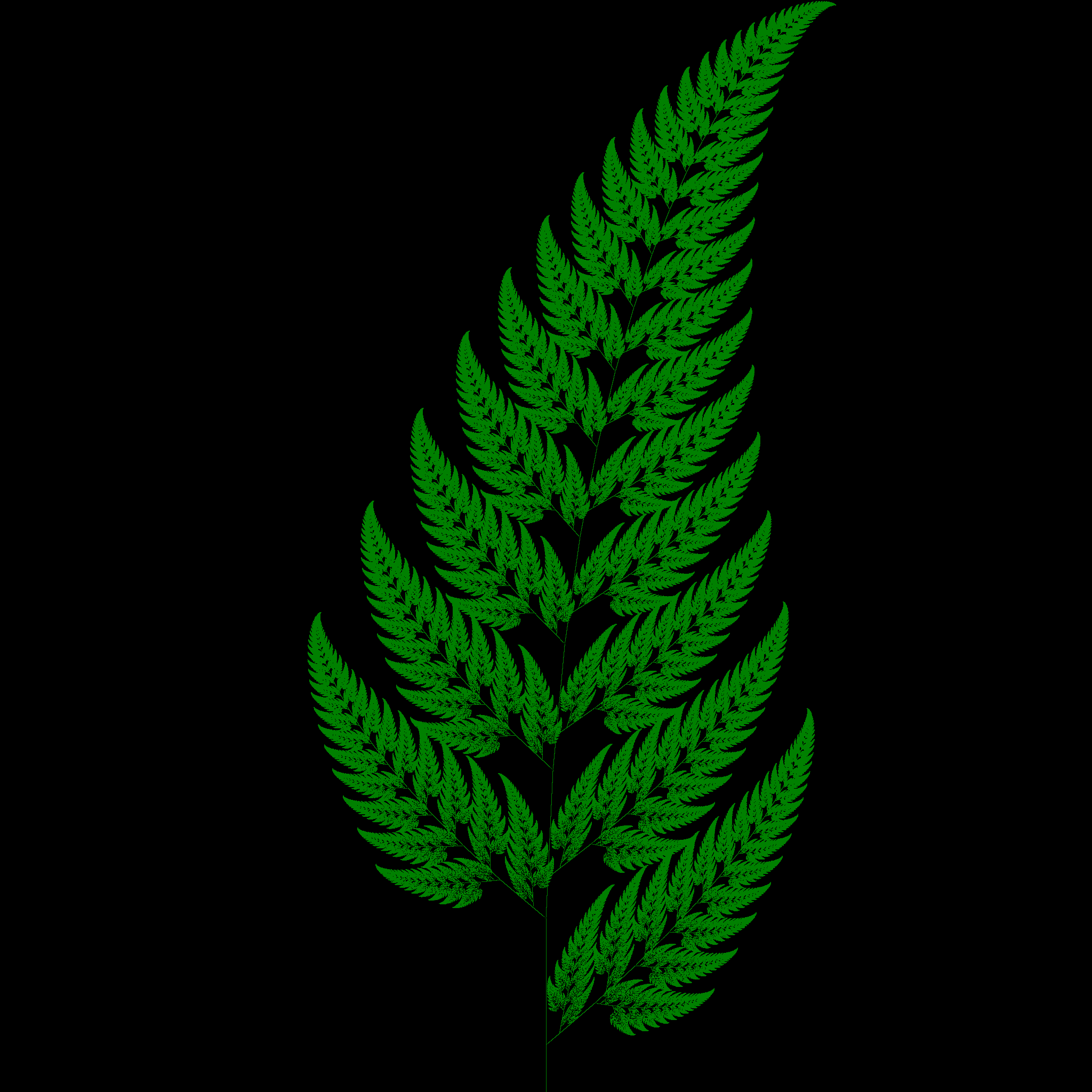 Barnsley Fern